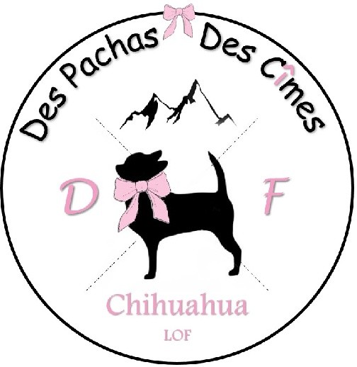 Des Pachas Des Cimes